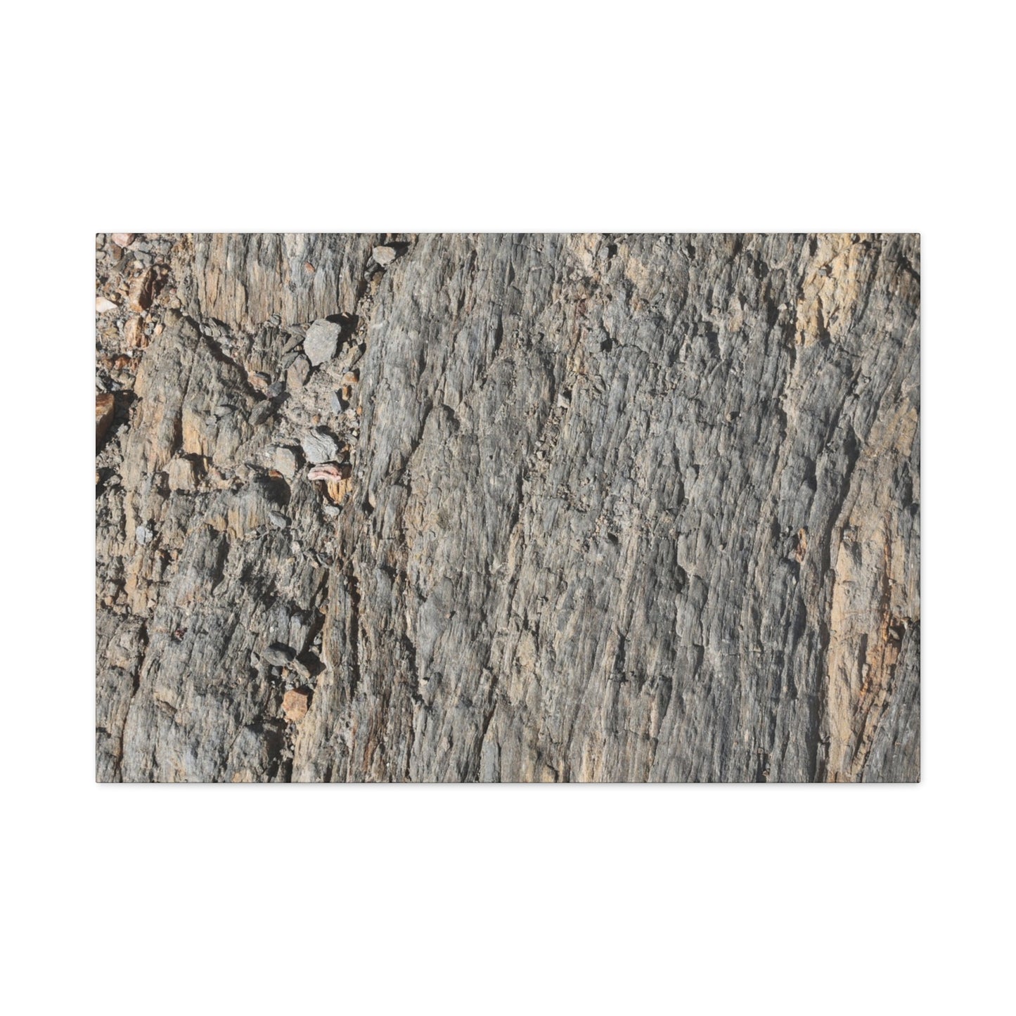 Bark Echoes - Unique Frameless Canvas Wall Art - Art By Earth