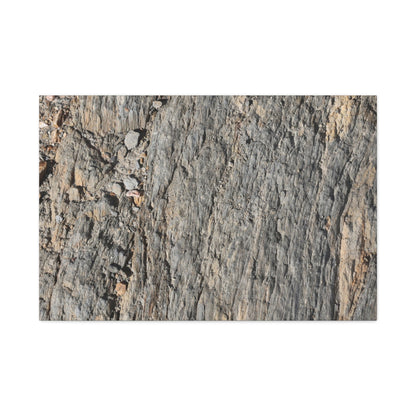 Bark Echoes - Unique Frameless Canvas Wall Art - Art By Earth