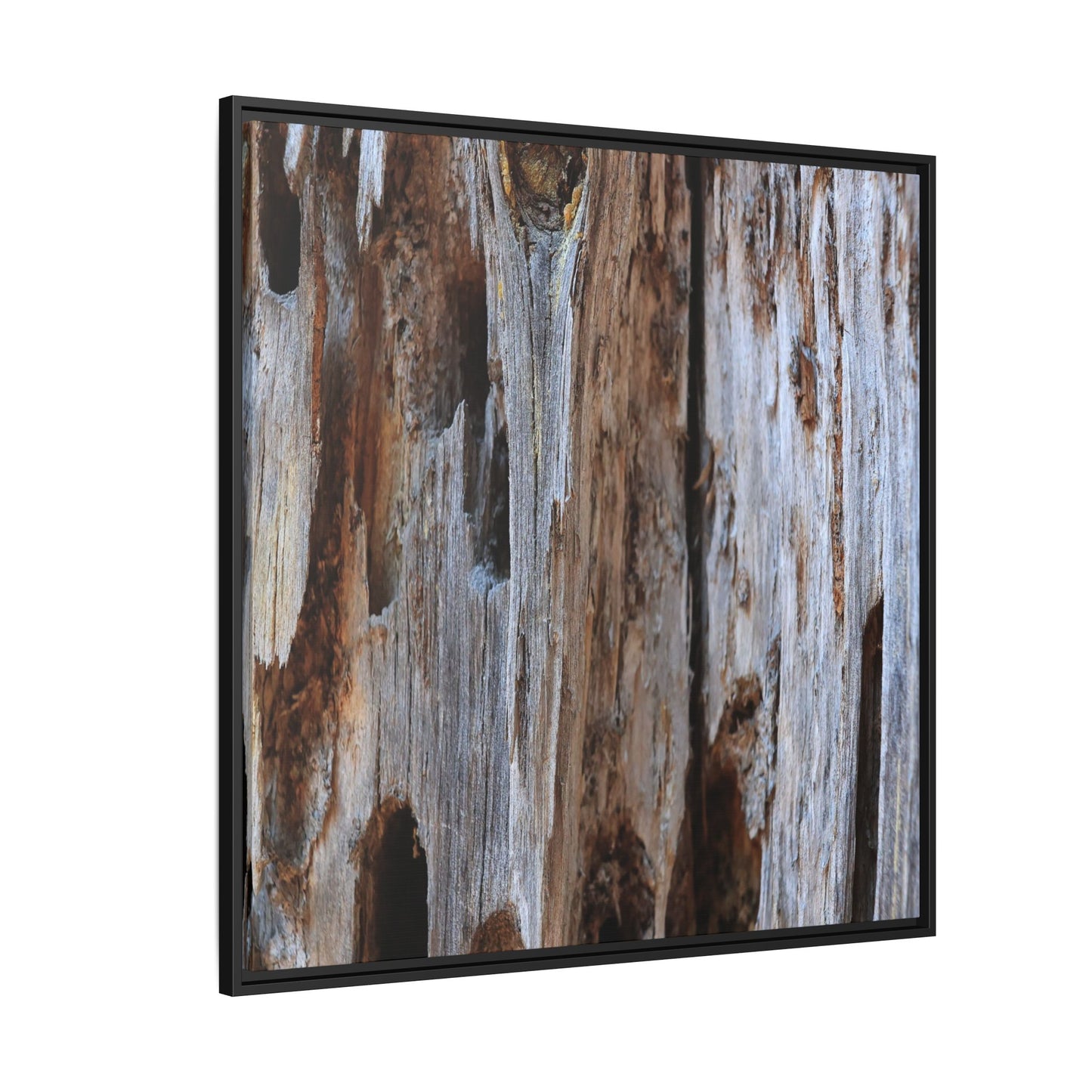 Decaying Splendor - Unique Stretched Canvas Wall Art - Art By Earth