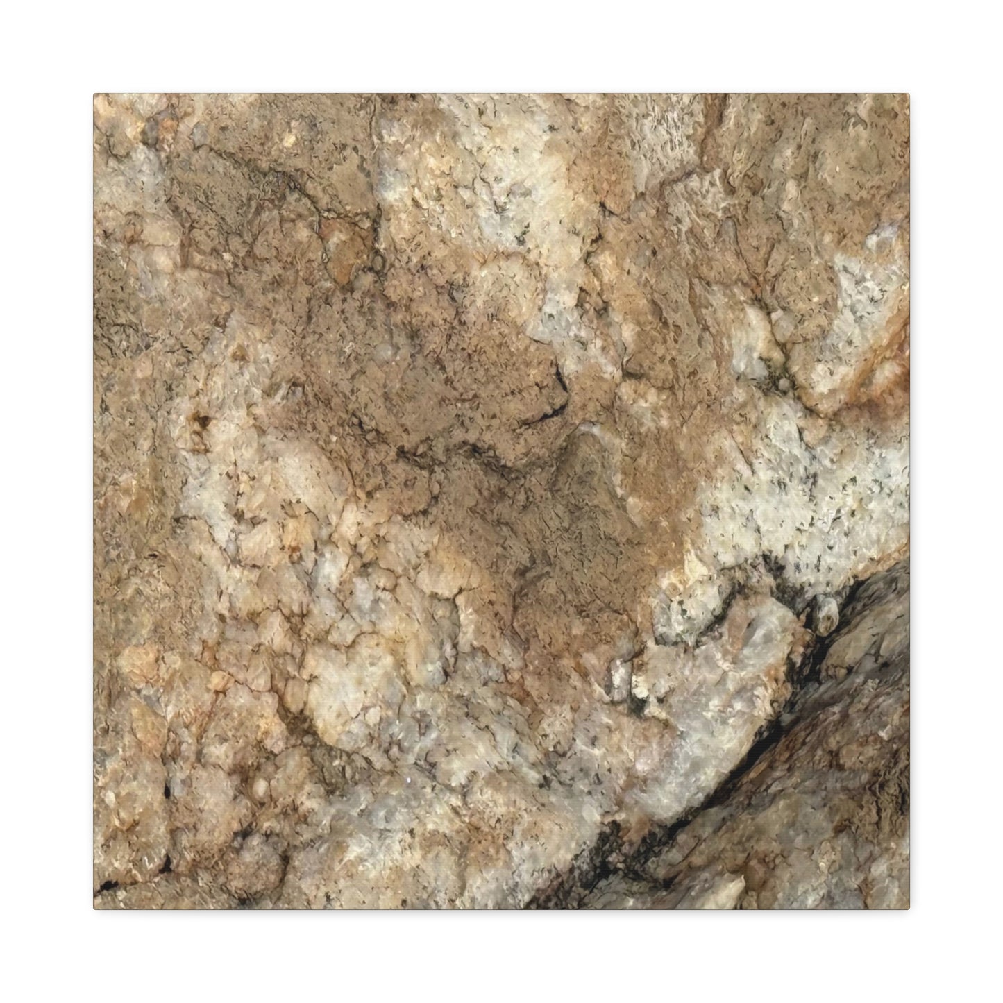 Desert Terrain - Unique Frameless Canvas Wall Art - Art By Earth