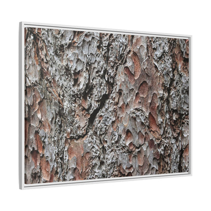 Bark Texture Symphony - Unique Stretched Canvas Wall Art - Art By Earth