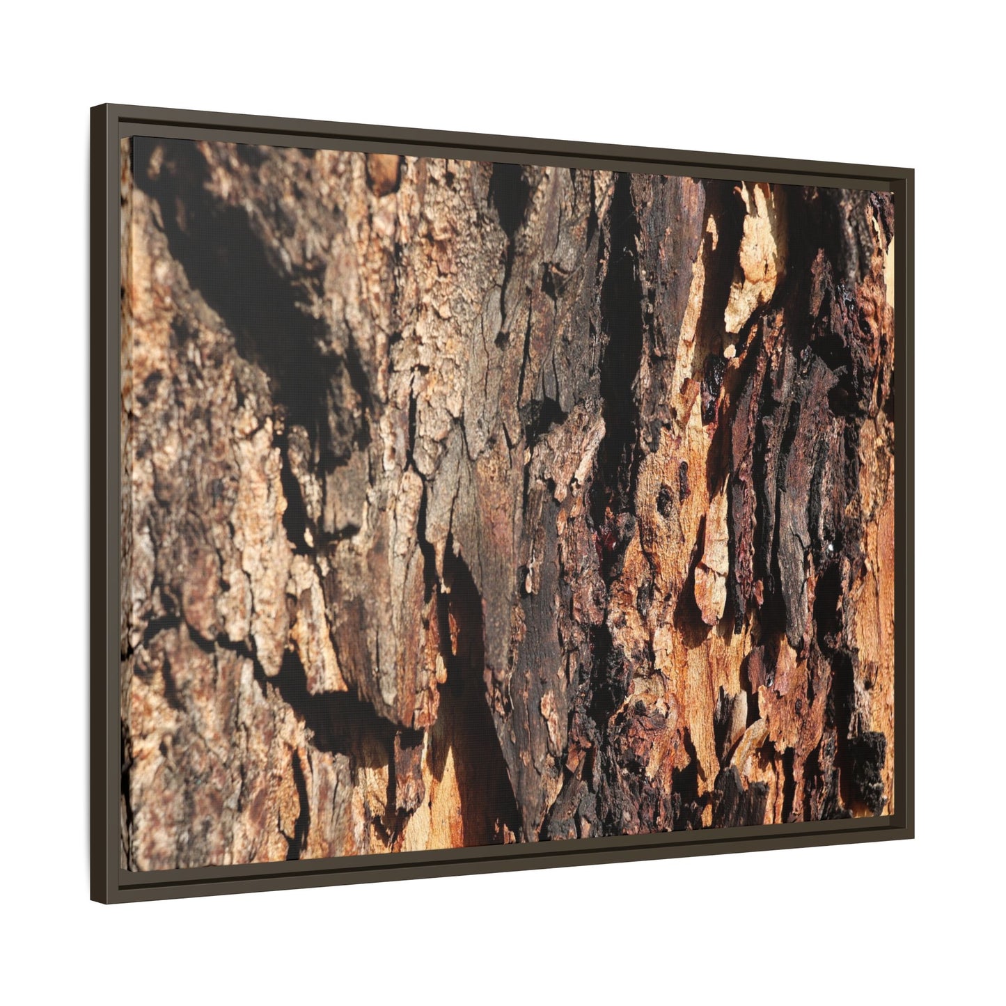 Rugged Beauty - Unique Stretched Canvas Wall Art - Art By Earth