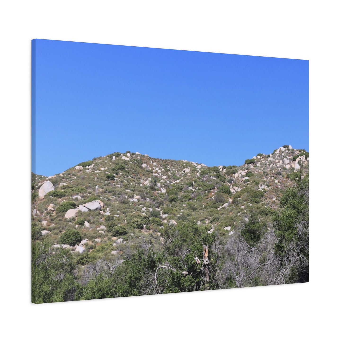Rocky Hills with Desert Vegetation - Unique Frameless Canvas Wall Art