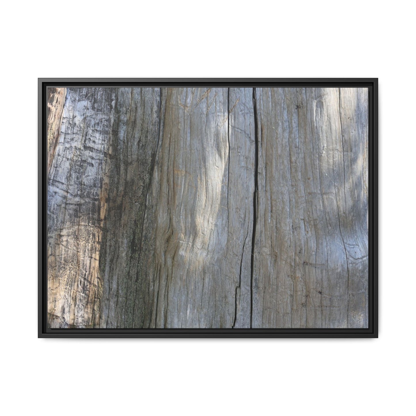 Cracked Timber Texture - Unique Stretched Canvas Wall Art