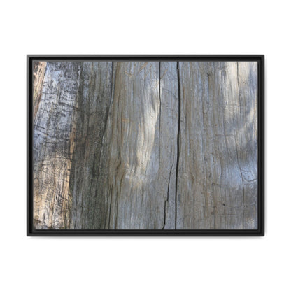 Cracked Timber Texture - Unique Stretched Canvas Wall Art