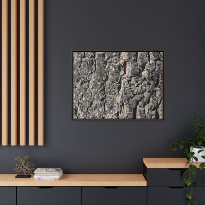 Aged Beauty - Unique Stretched Canvas Wall Art - Art By Earth
