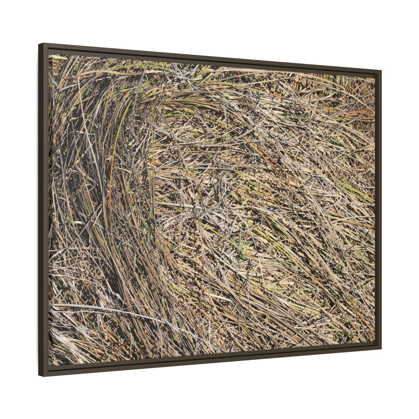Tangled Grass Symphony - Unique Stretched Canvas Wall Art - Art By Earth
