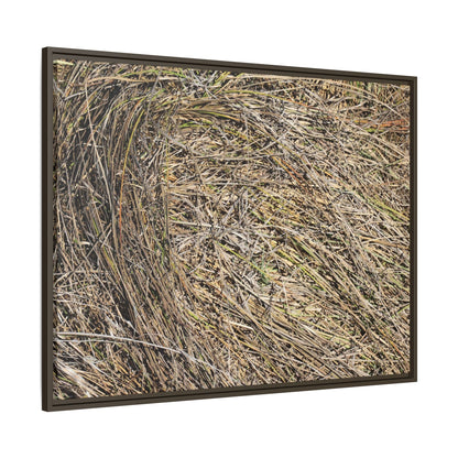 Tangled Grass Symphony - Unique Stretched Canvas Wall Art - Art By Earth