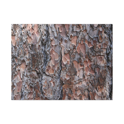 Woodland Armor - Unique Frameless Canvas Wall Art - Art By Earth