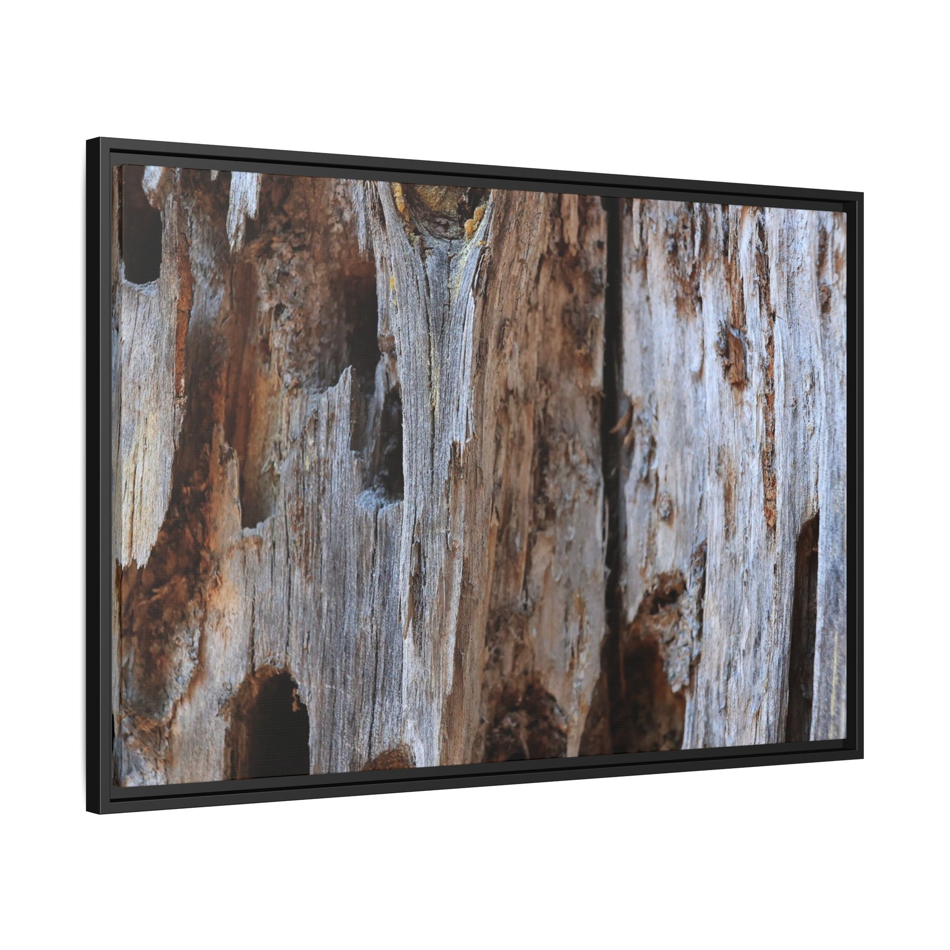 Decaying Splendor - Unique Stretched Canvas Wall Art - Art By Earth