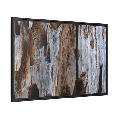 Decaying Splendor - Unique Stretched Canvas Wall Art - Art By Earth