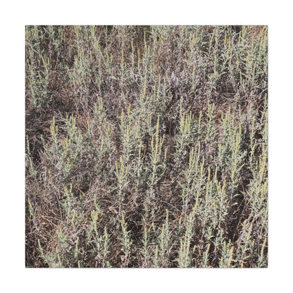 Whispers in the Sage - Unique Stretched Canvas Wall Art - Art By Earth