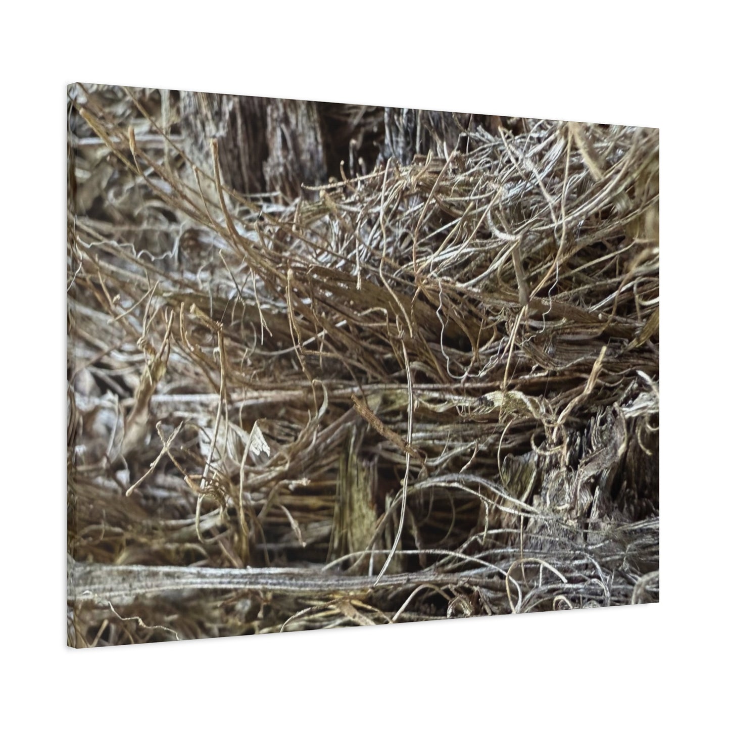 Whispers in Dry Grass - Unique Frameless Canvas Wall Art - Art By Earth