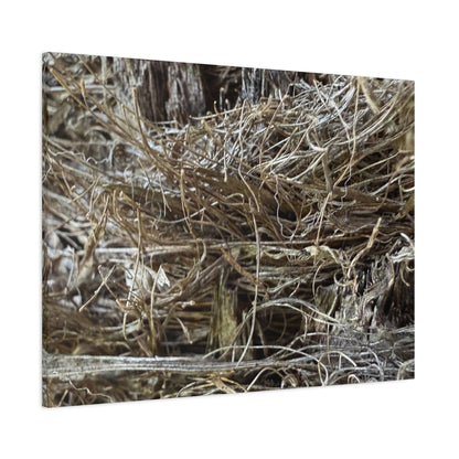 Whispers in Dry Grass - Unique Frameless Canvas Wall Art - Art By Earth