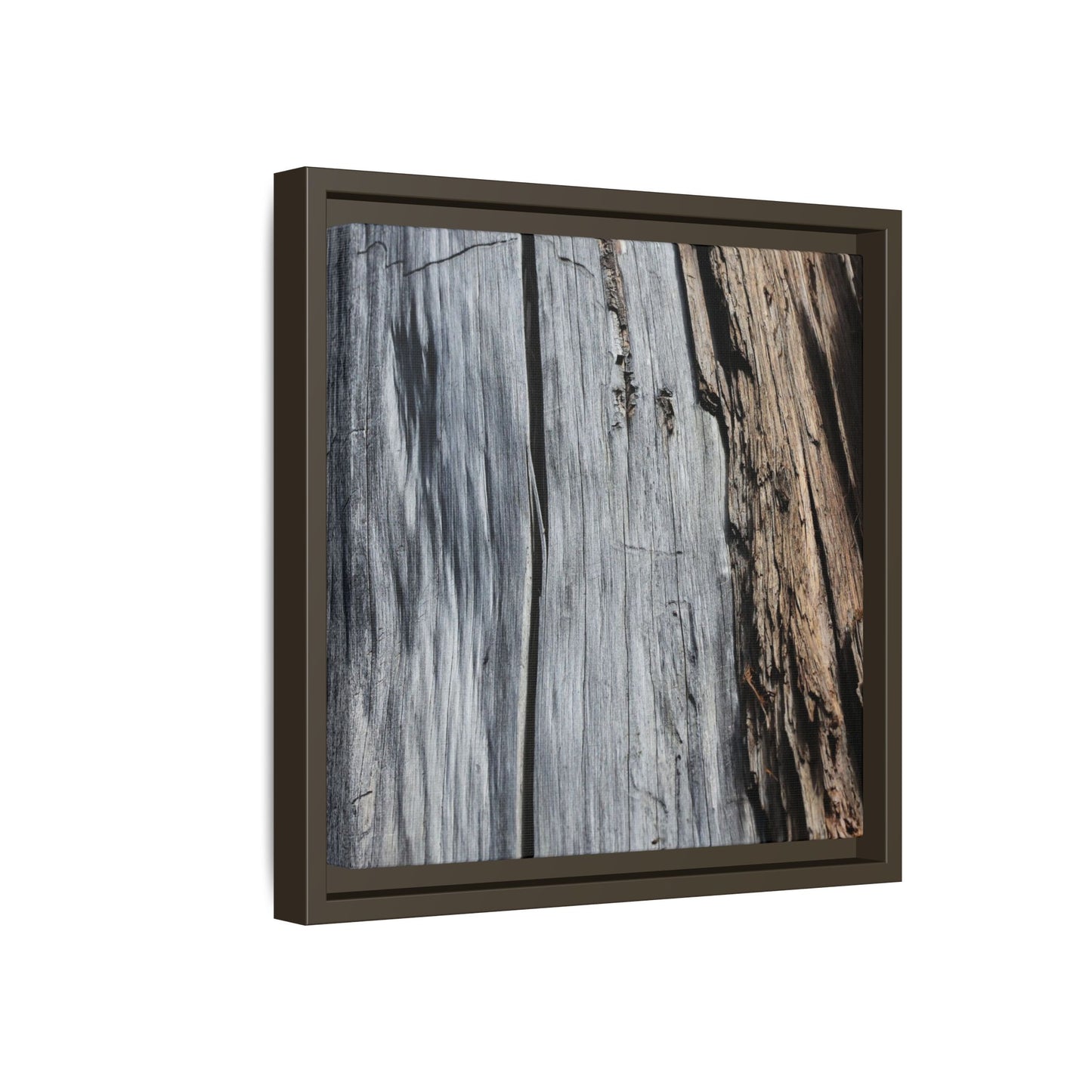 Wood's Lament - Unique Stretched Canvas Wall Art - Art By Earth