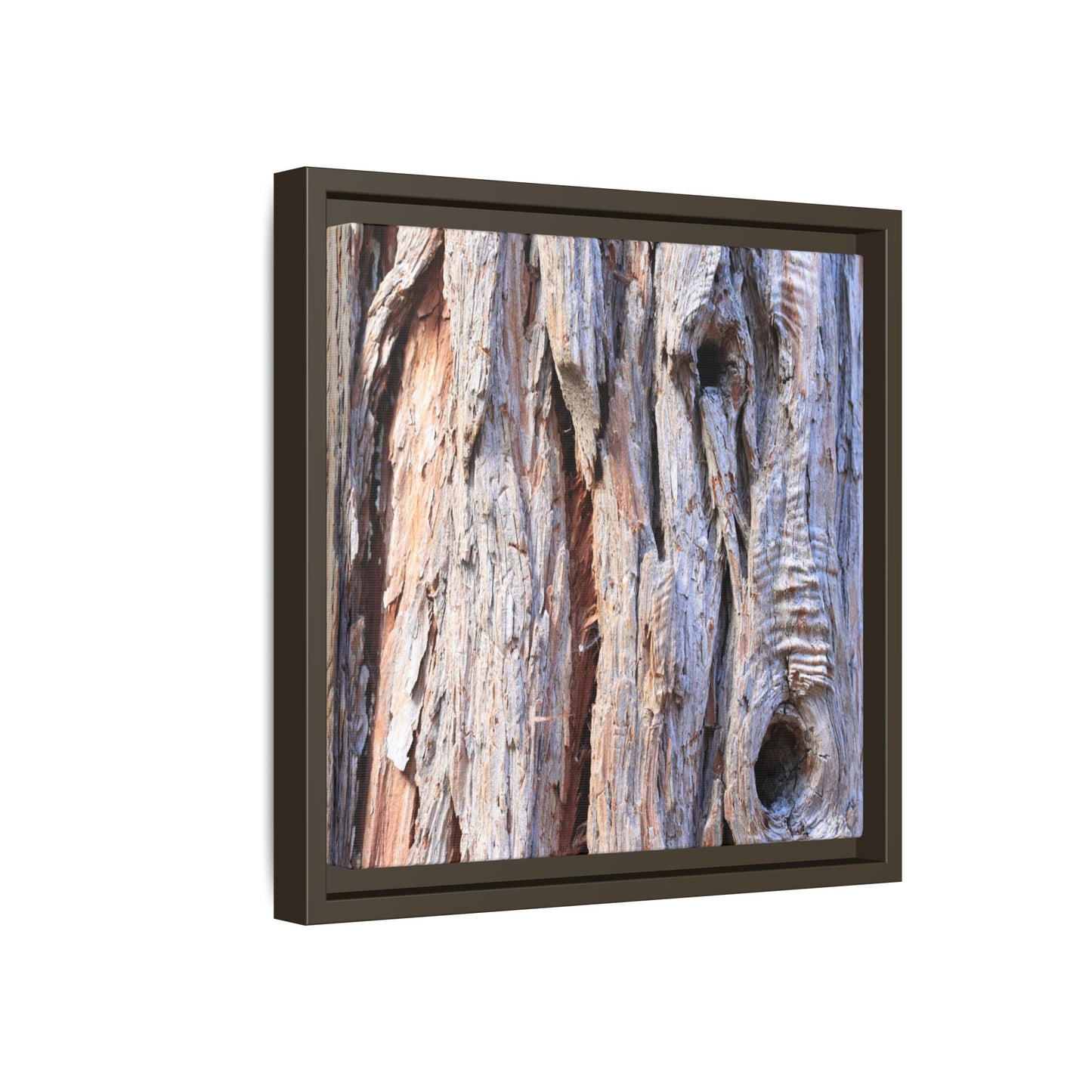 Nature's Grain - Unique Stretched Canvas Wall Art - Art By Earth