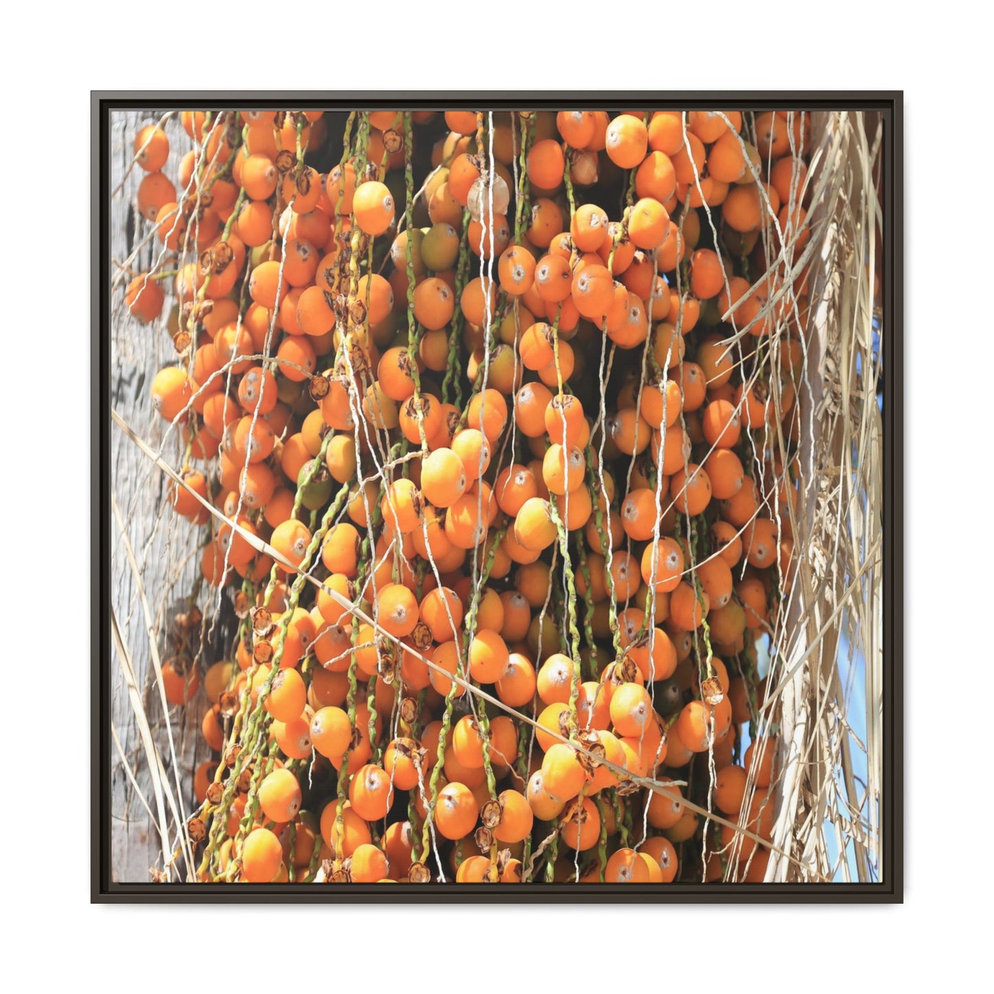 Clusters of Sunlight - Unique Canvas Wall Art - Art By Earth