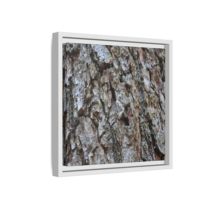 Woodland Canvas - Unique Stretched Canvas Wall Art - Art By Earth