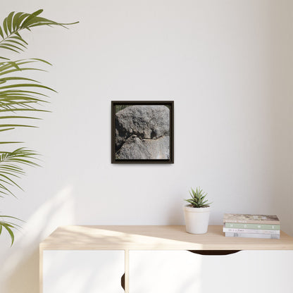 Stone Skull in Desert - Unique Stretched Canvas Wall Art