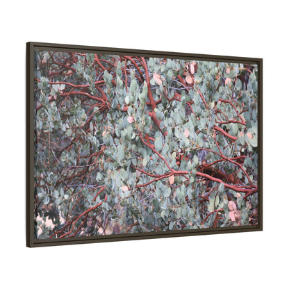 Whispers of Sage - Unique Stretched Canvas Wall Art - Art By Earth