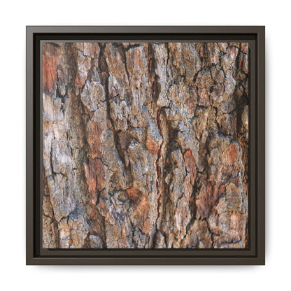 Tree's Timeworn Tale - Unique Stretched Canvas Wall Art - Art By Earth