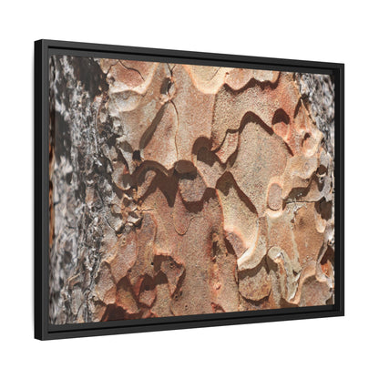 Rust and Stone - Unique Stretched Canvas Wall Art - Art By Earth