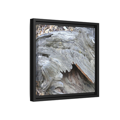 Driftwood Dreams - Unique Stretched Canvas Wall Art - Art By Earth