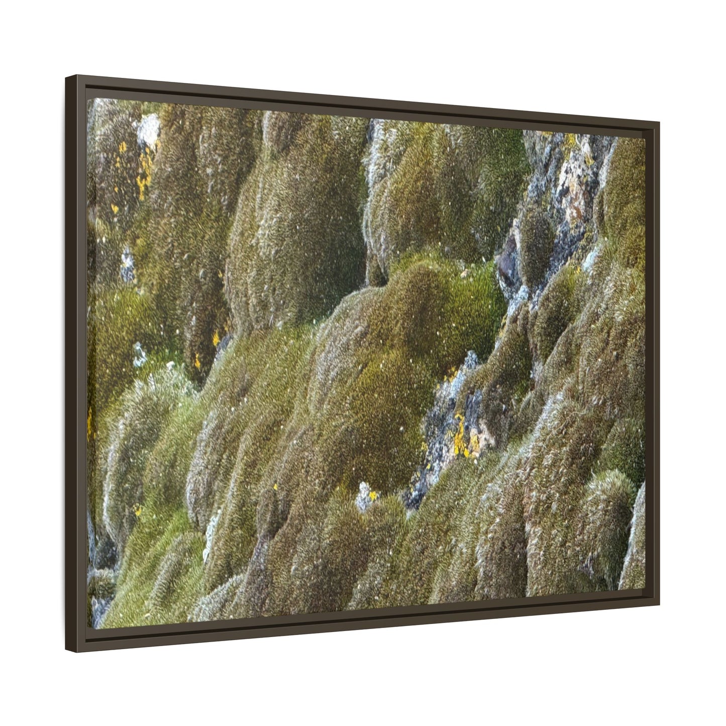 Moss Symphony - Unique Stretched Canvas Wall Art