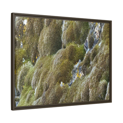 Moss Symphony - Unique Stretched Canvas Wall Art