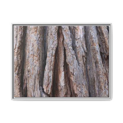 Nature's Sculpture - Unique Stretched Canvas Wall Art - Art By Earth