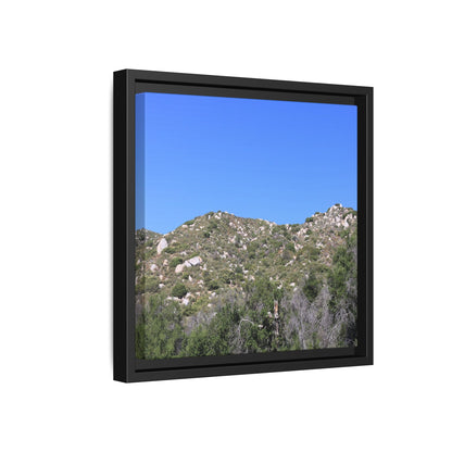 Sparse Vegetation - Unique Stretched Canvas Wall Art