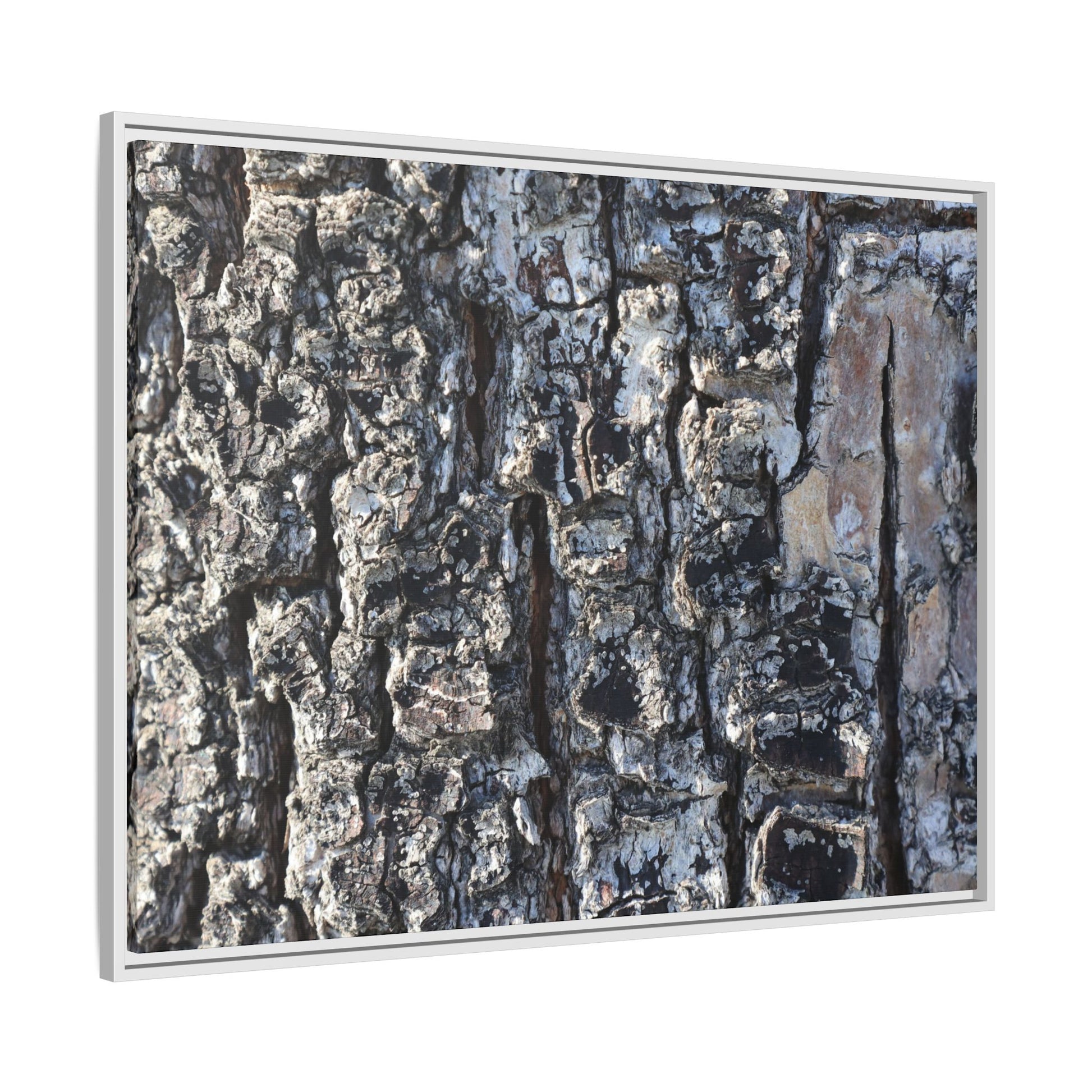 The Bark Chronicles - Unique Stretched Canvas Wall Art - Art By Earth