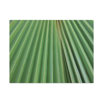 Fan of Green - Unique Frameless Canvas Wall Art - Art By Earth