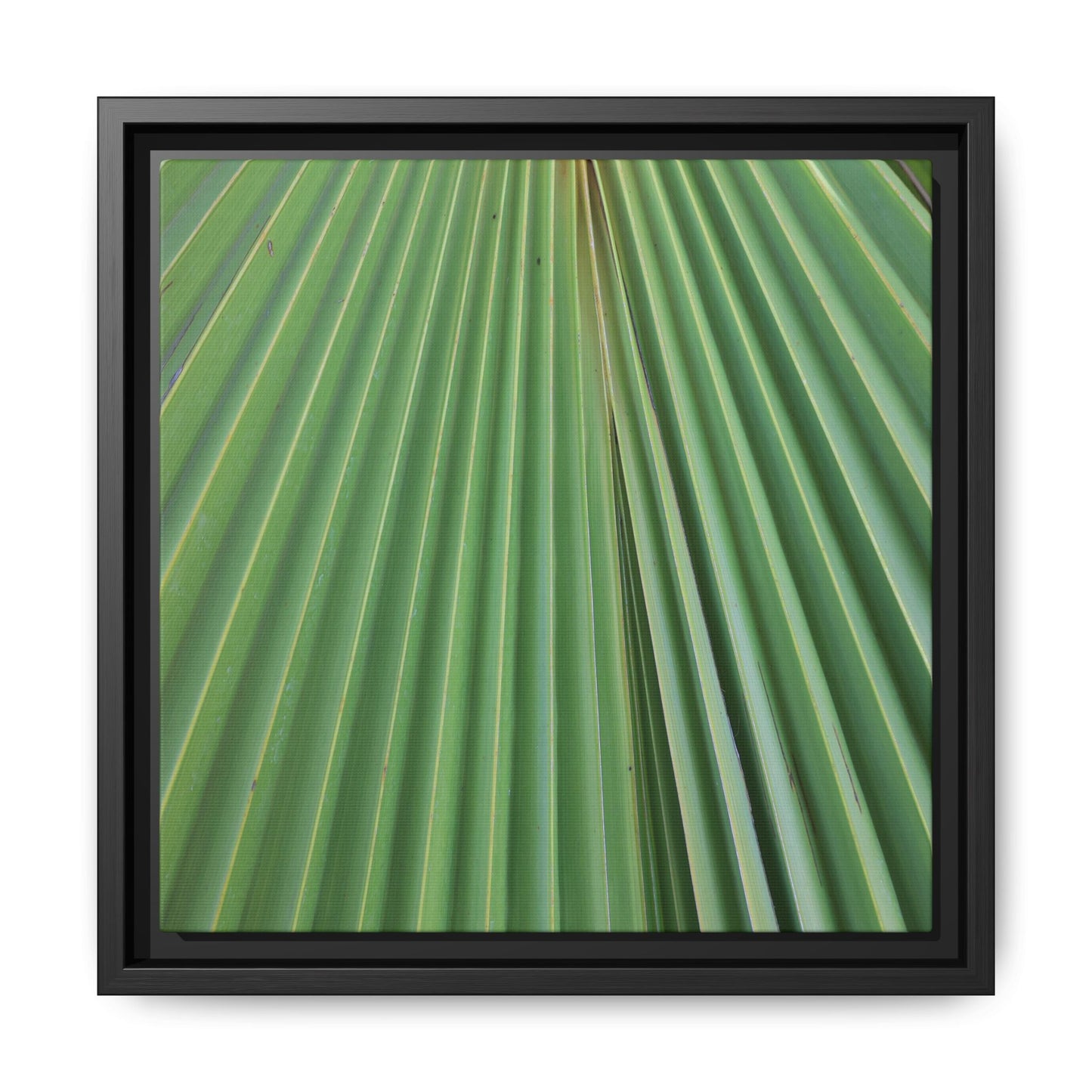 Verdant Veins - Unique Stretched Canvas Wall Art - Art By Earth