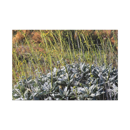 Desert Wildflowers in Bloom - Unique Frameless Canvas Wall Art - Art By Earth