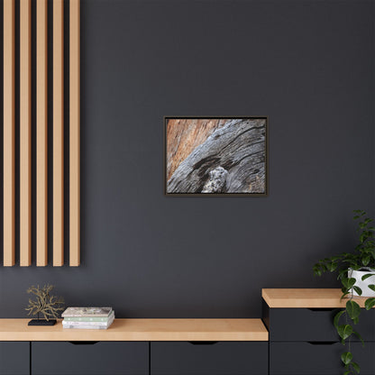 Time's Mark on Timber - Unique Stretched Canvas Wall Art - Art By Earth