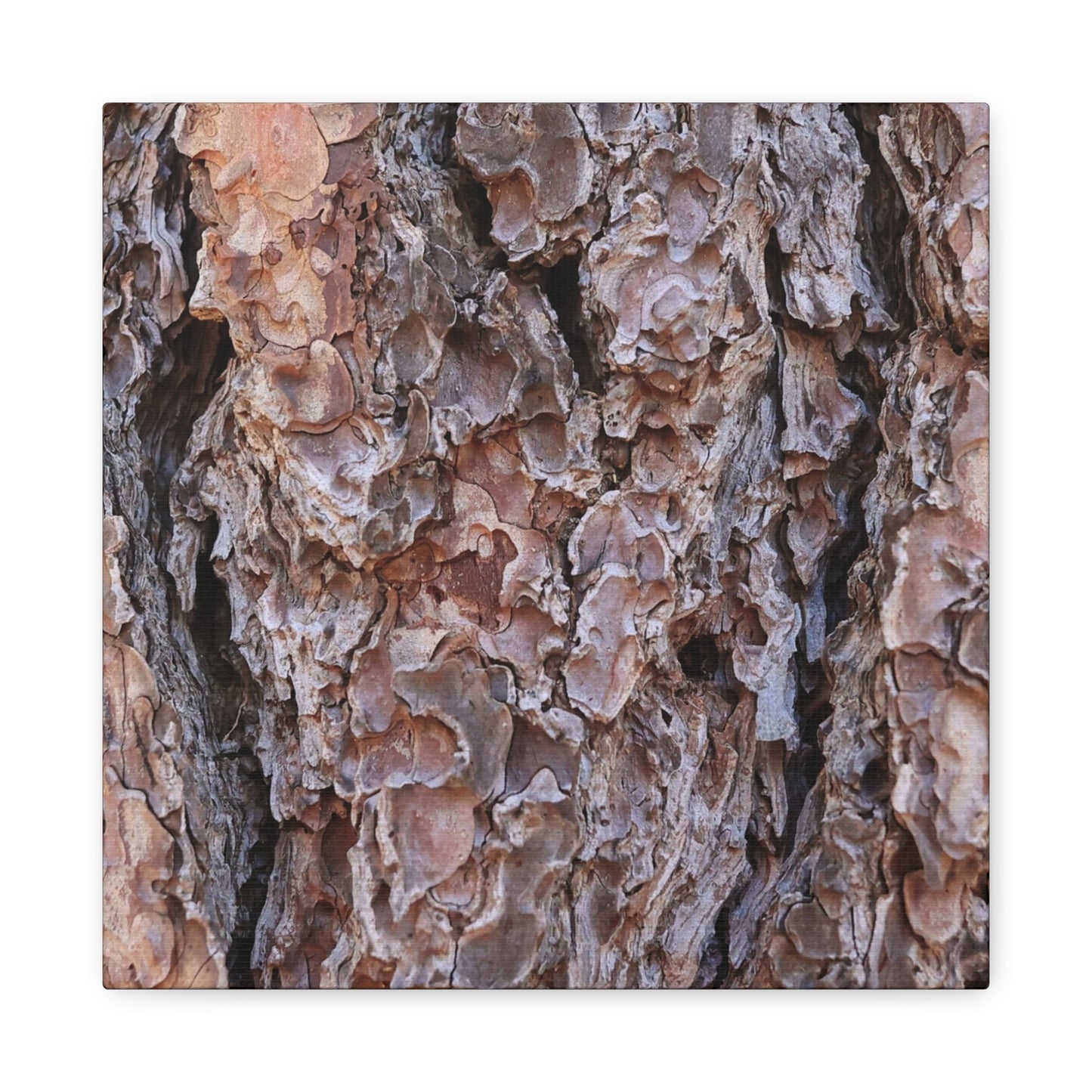 Rough Canvas - Unique Frameless Canvas Wall Art - Art By Earth