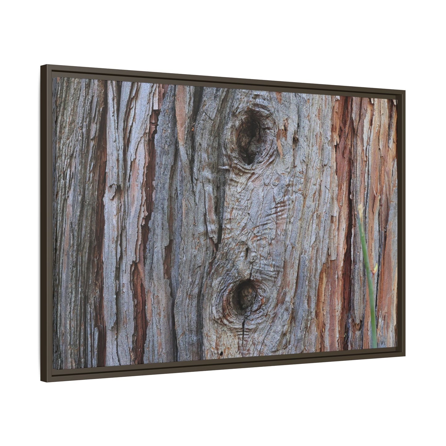 Knotty Nature - Unique Stretched Canvas Wall Art - Art By Earth
