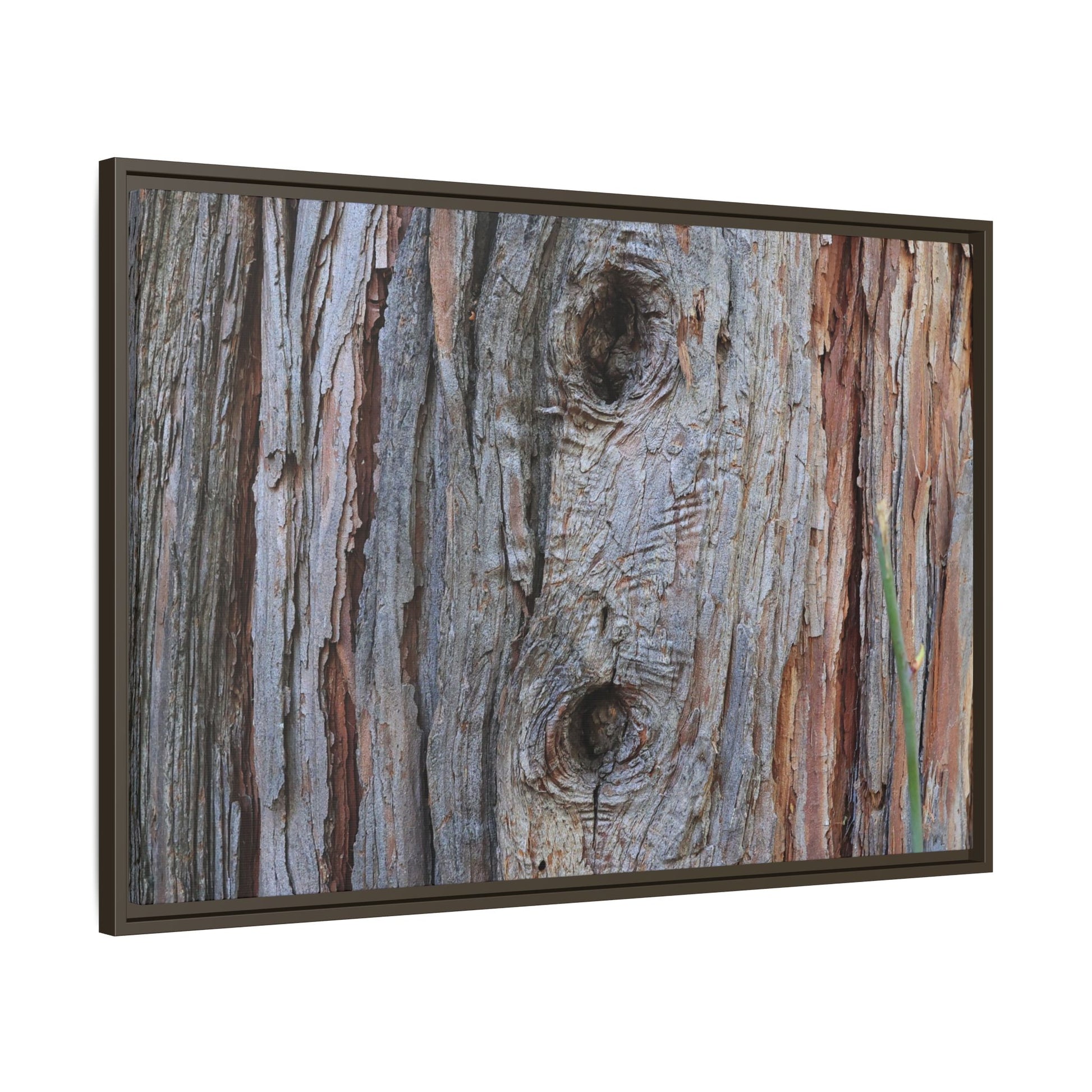 Knotty Nature - Unique Stretched Canvas Wall Art - Art By Earth