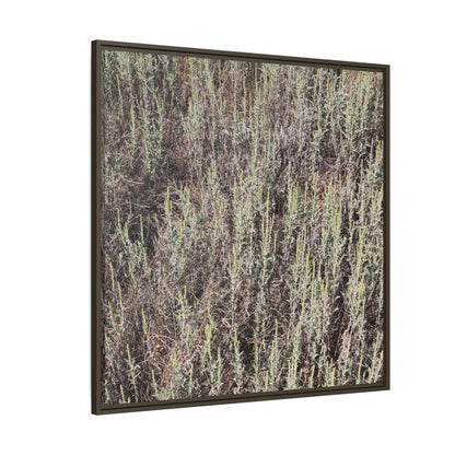 Sage Fields Forever - Unique Stretched Canvas Wall Art - Art By Earth