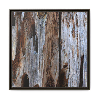 Decaying Splendor - Unique Stretched Canvas Wall Art - Art By Earth