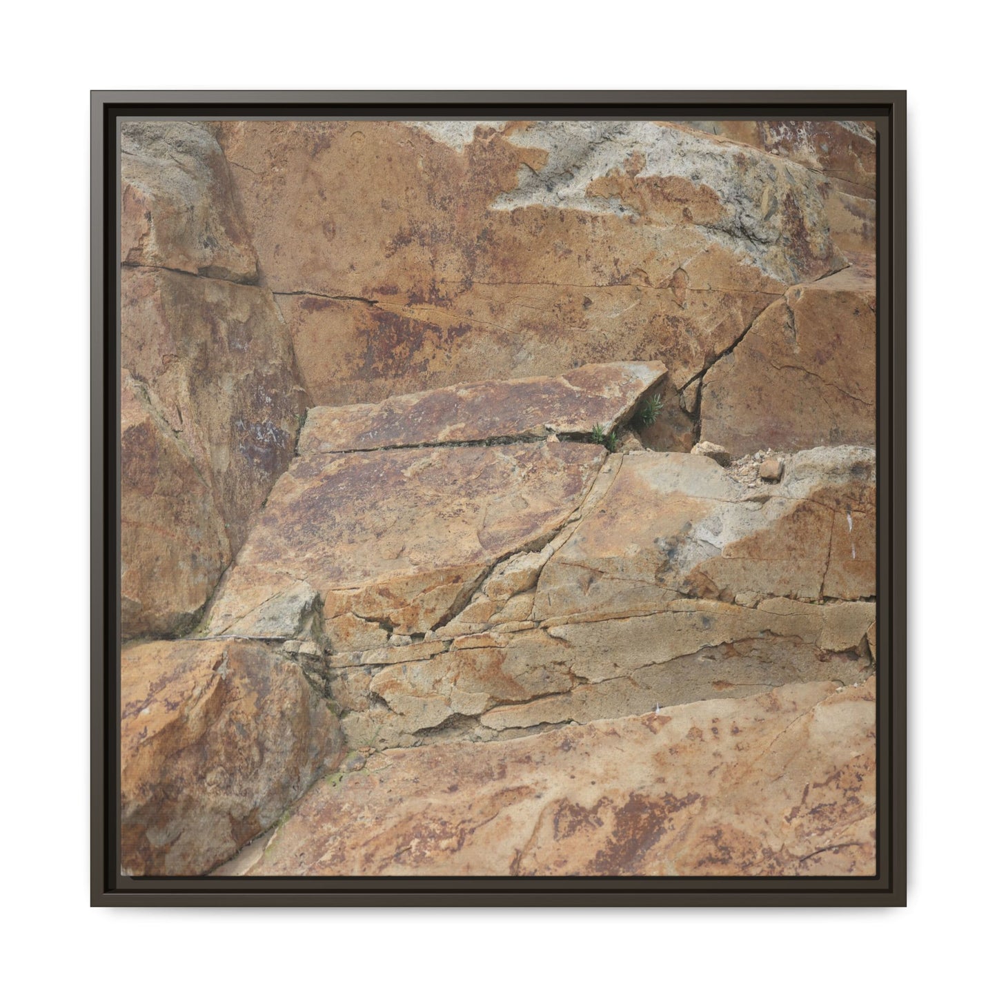 Ancient Foundations - Unique Stretched Canvas Wall Art - Art By Earth