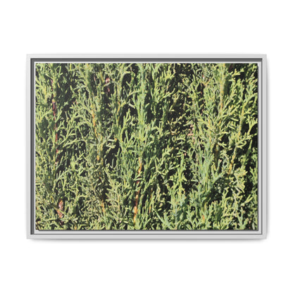 Emerald Labyrinth - Unique Stretched Canvas Wall Art - Art By Earth