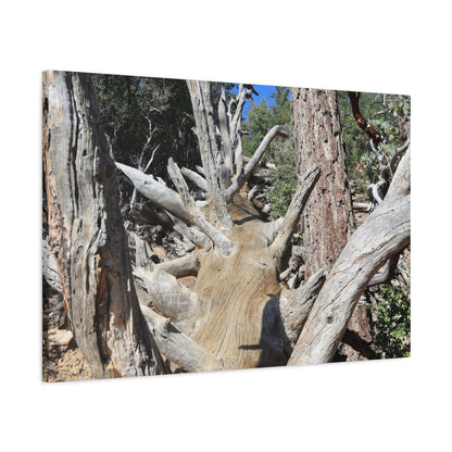 Twisted Roots - Unique Frameless Canvas Wall Art