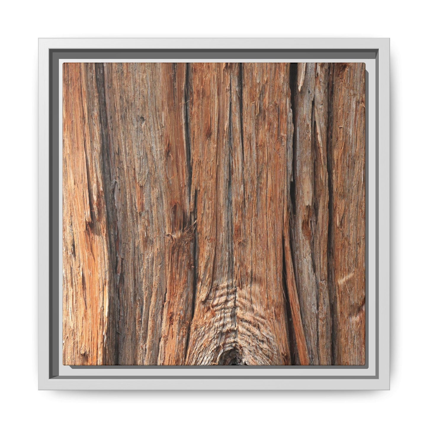 Echoes of Timber - Unique Stretched Canvas Wall Art - Art By Earth