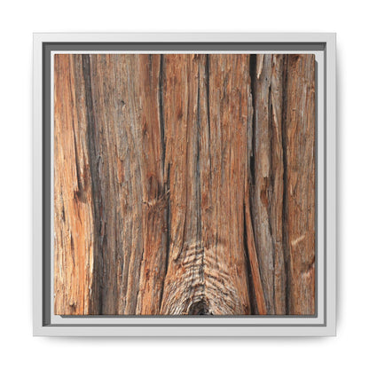 Echoes of Timber - Unique Stretched Canvas Wall Art - Art By Earth