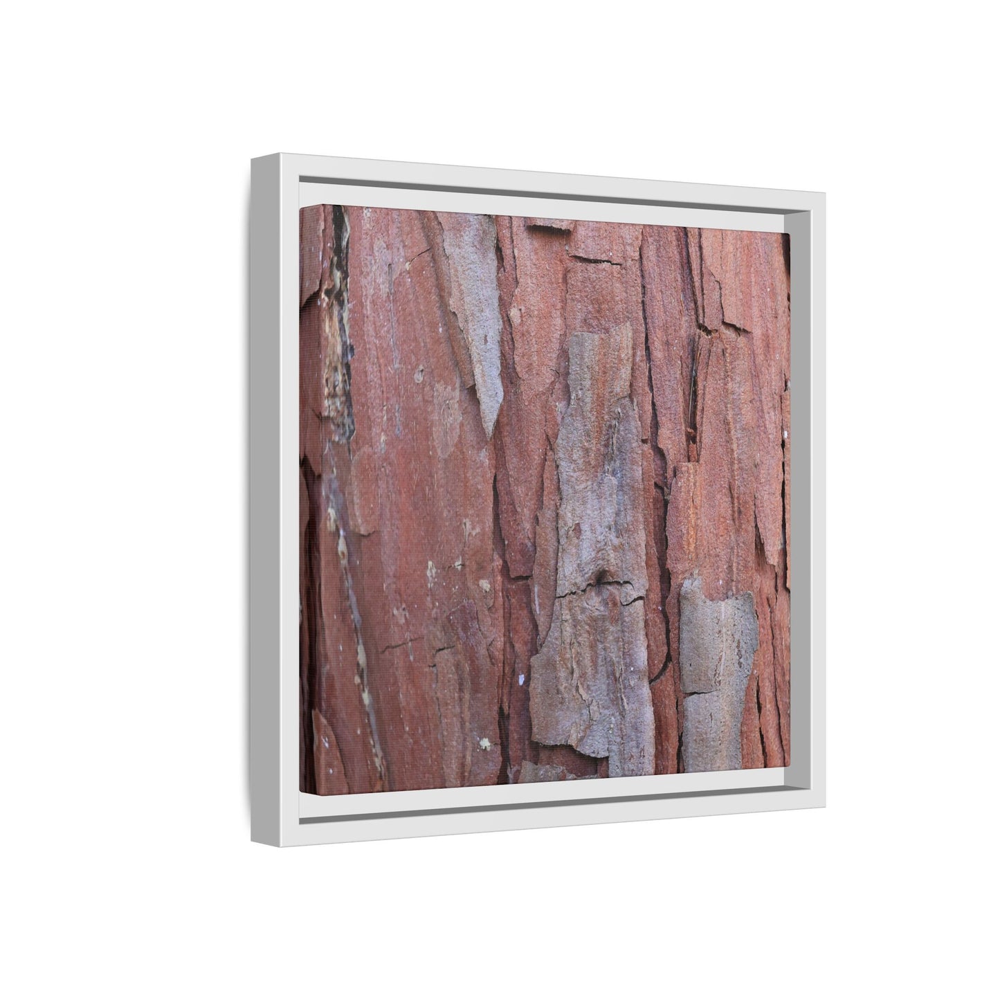 Peeling Bark - Unique Stretched Canvas Wall Art - Art By Earth