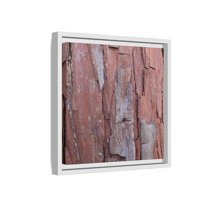 Peeling Bark - Unique Stretched Canvas Wall Art - Art By Earth