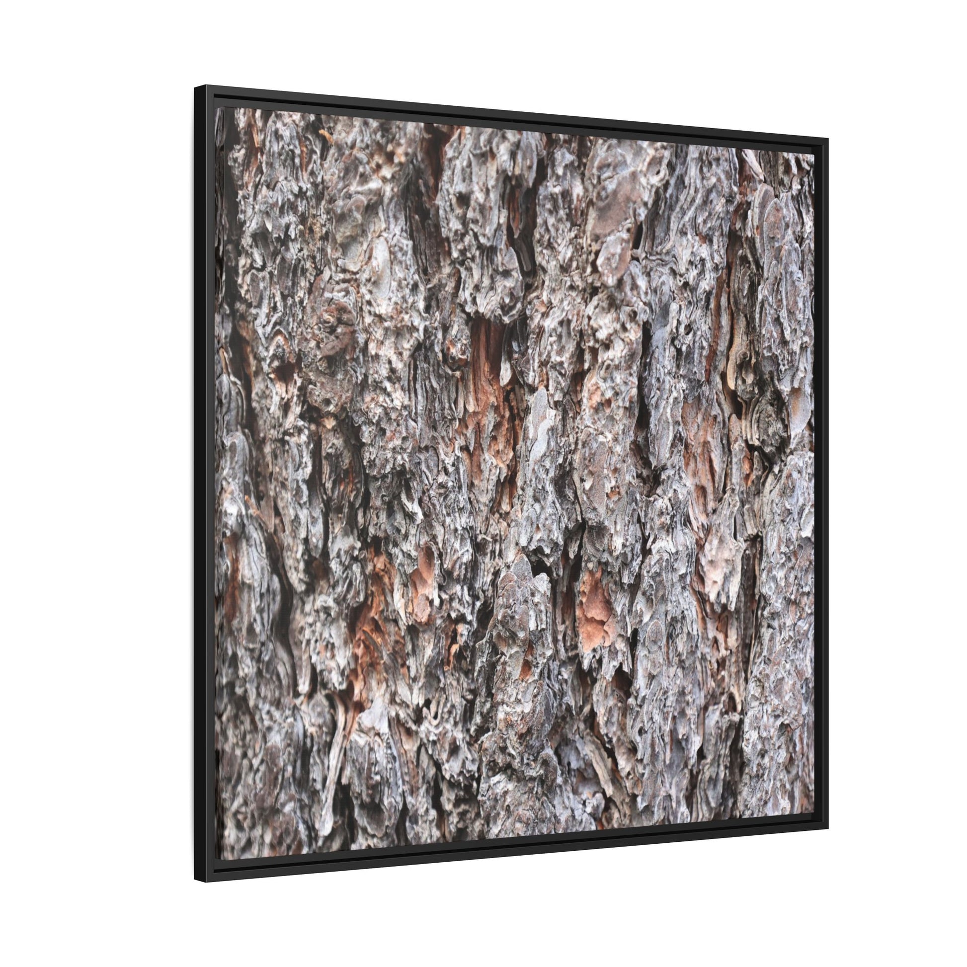 Rugged Cortex - Unique Stretched Canvas Wall Art - Art By Earth