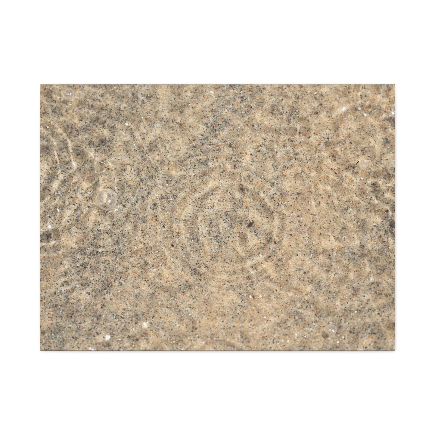 Desert Memory - Unique Frameless Canvas Wall Art - Art By Earth